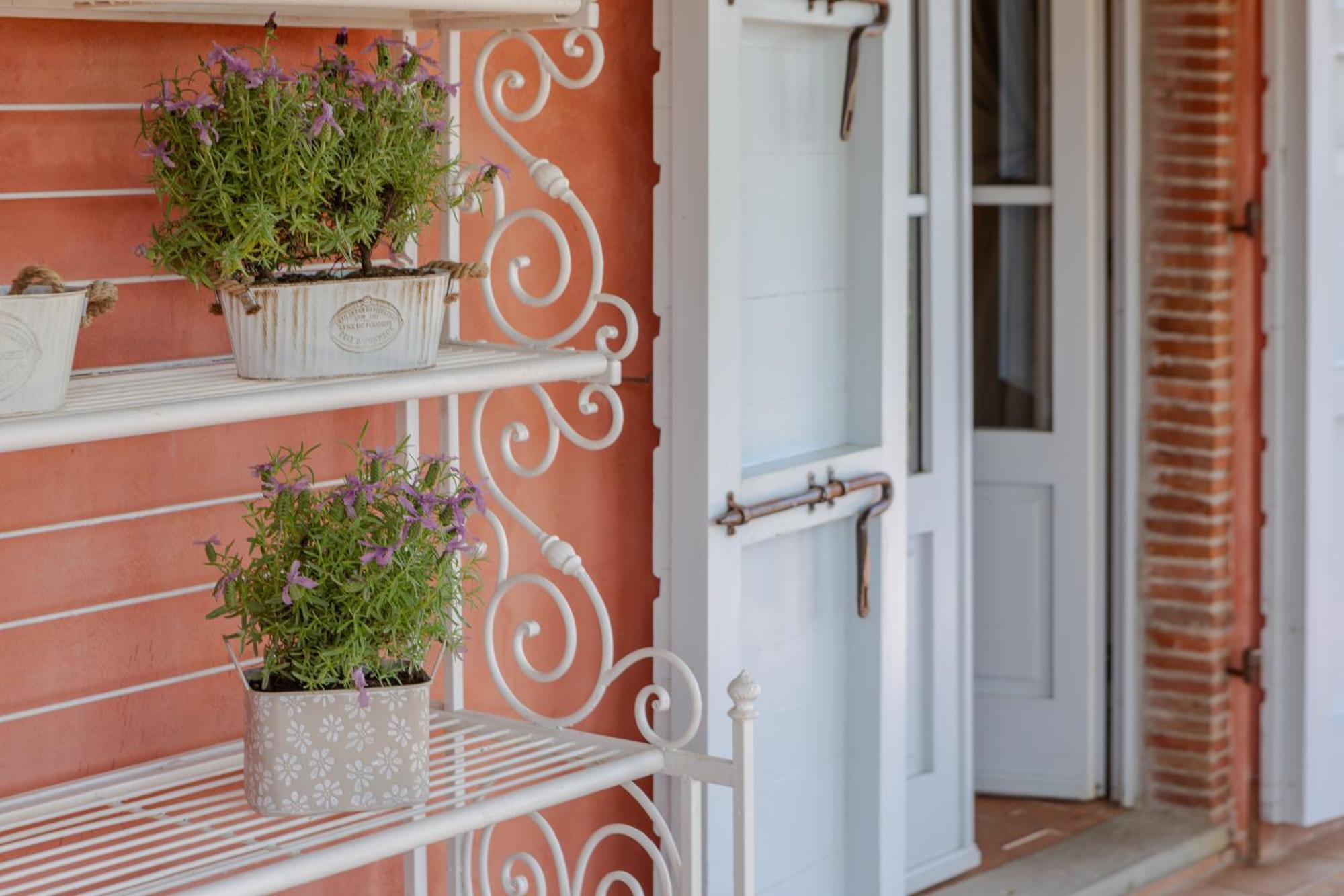 Villa Sii Felice Buti Εξωτερικό φωτογραφία