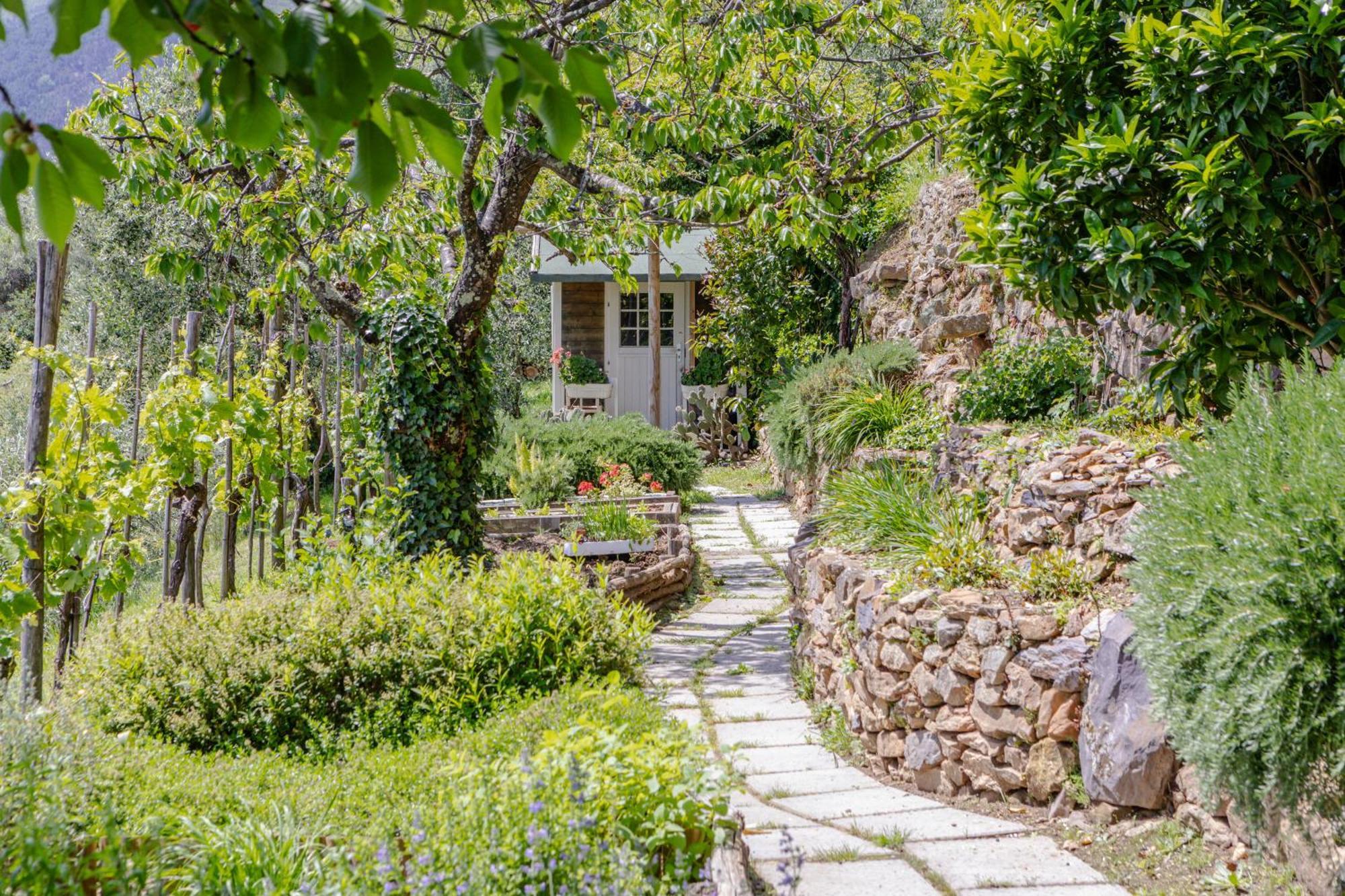 Villa Sii Felice Buti Εξωτερικό φωτογραφία