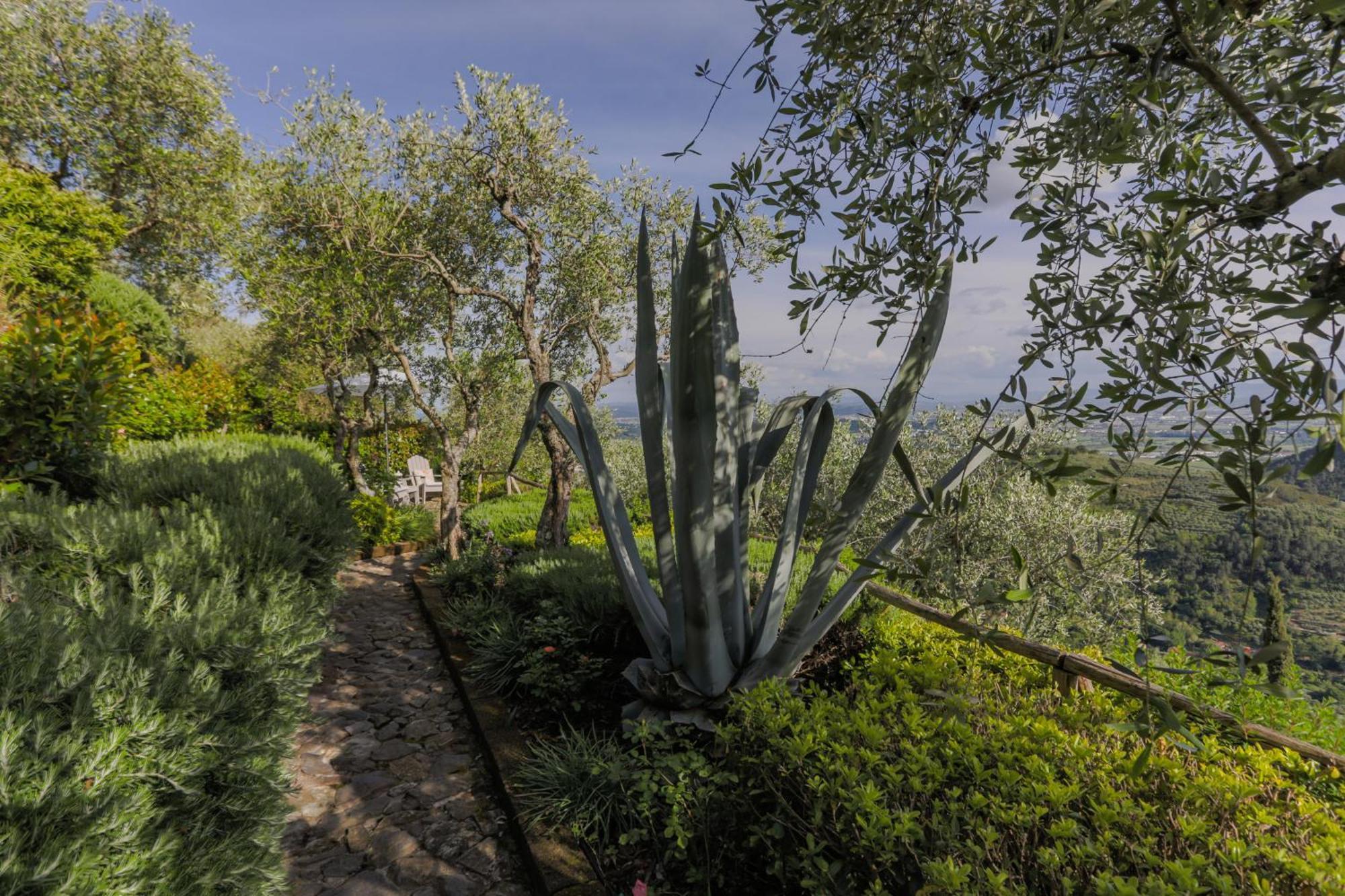 Villa Sii Felice Buti Εξωτερικό φωτογραφία
