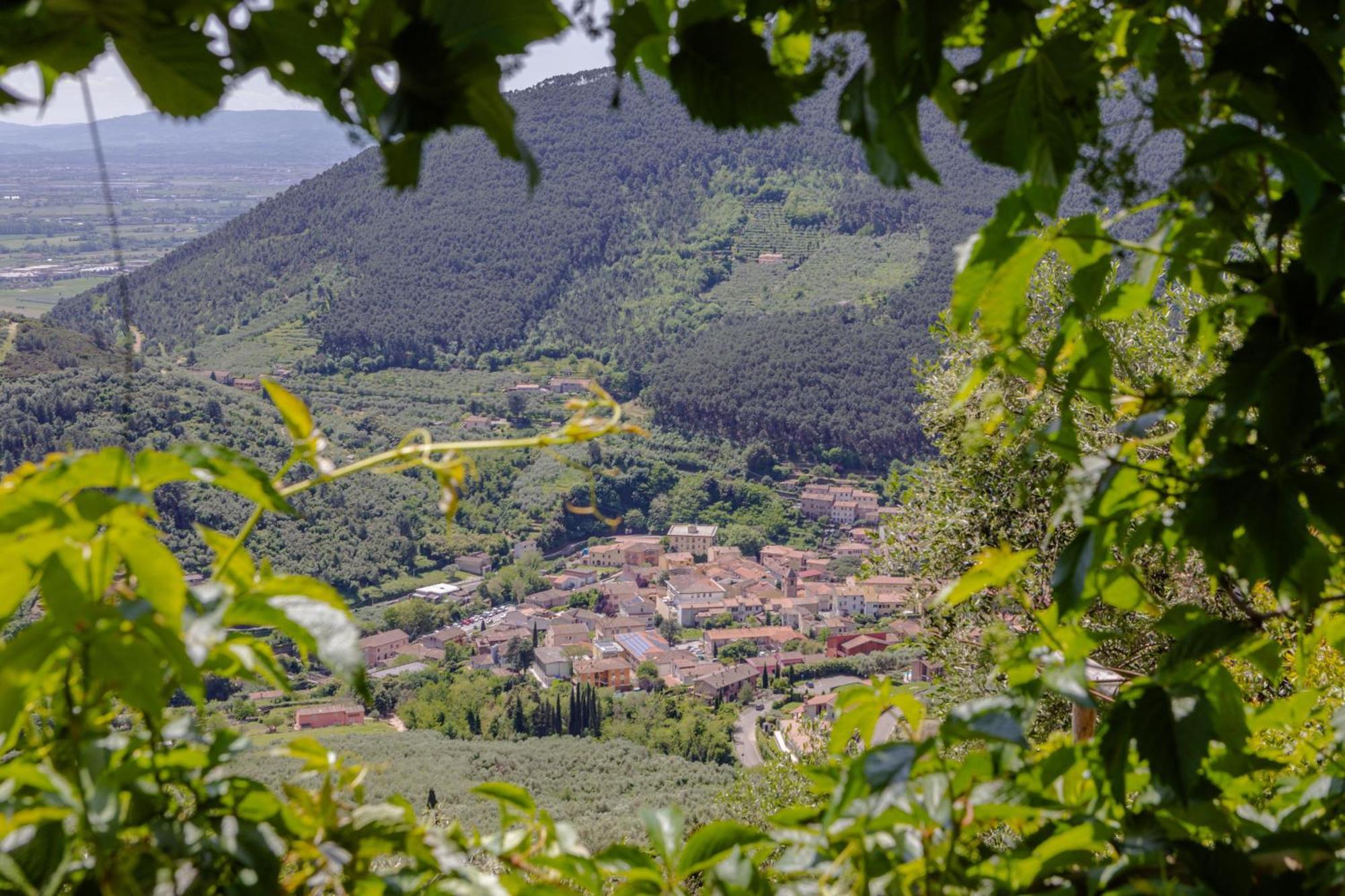 Villa Sii Felice Buti Εξωτερικό φωτογραφία