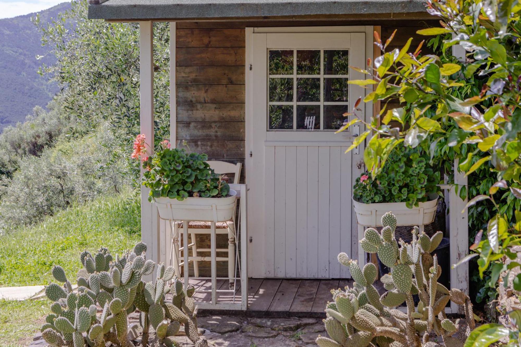 Villa Sii Felice Buti Εξωτερικό φωτογραφία