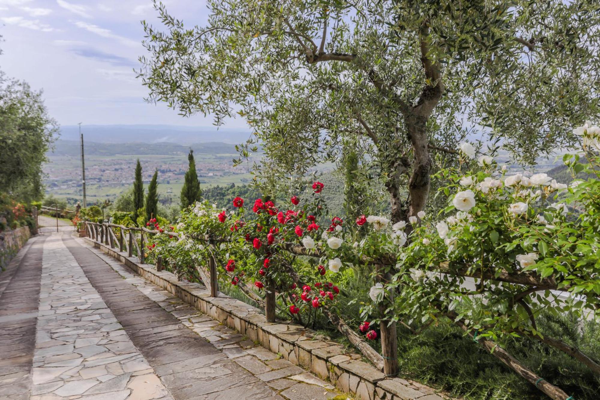 Villa Sii Felice Buti Εξωτερικό φωτογραφία