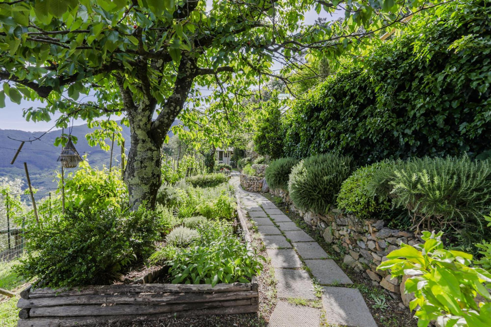 Villa Sii Felice Buti Εξωτερικό φωτογραφία